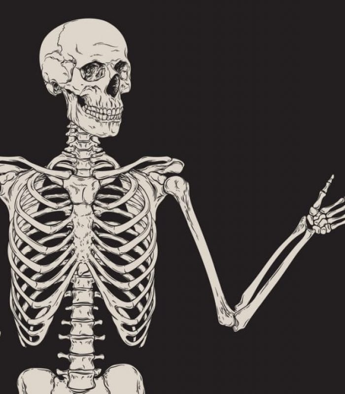 Can CBD Make Your Skeleton Stronger?