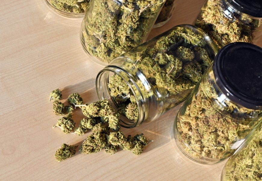 Buds in a glass container