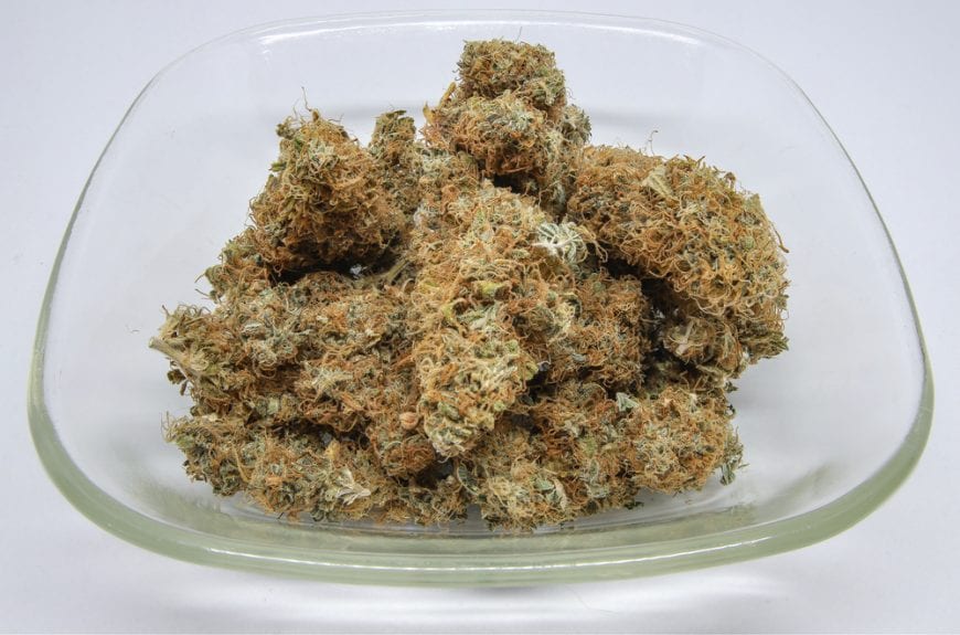 Cannabis Buds in Glass Bowl humulene