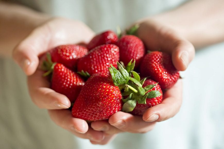 Strawberries being held in a woman's hands close up