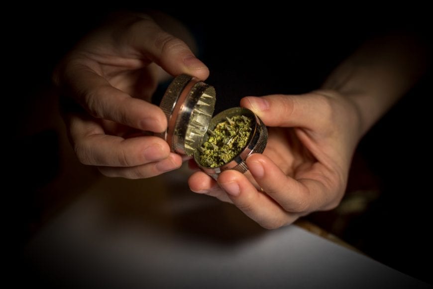 Man's hands opening grinder filled with cannabis