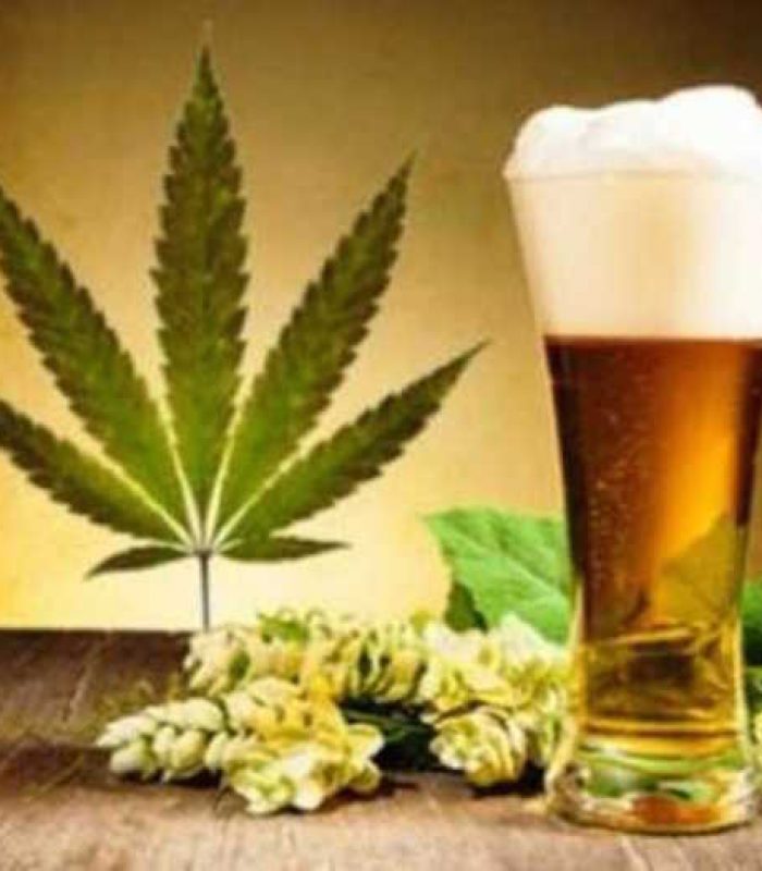 Cannabis Beer is Here, And The People Are Happy
