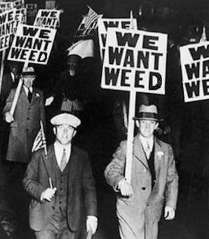 Prohibition in America: From Alcohol to Cannabis? Will We Return to the 'Rum-Runner' Days?