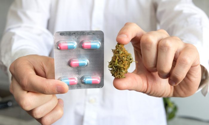 Cannabis: How Can a Schedule I Drug also be a Pharmaceutical?