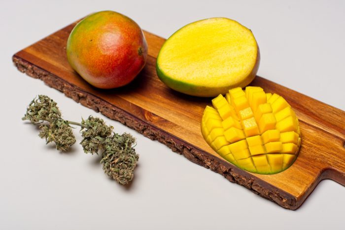 myrcene represented by mango and cannabis buds