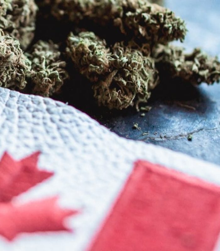 Cannabis Shortage From Canada to California - What Now?