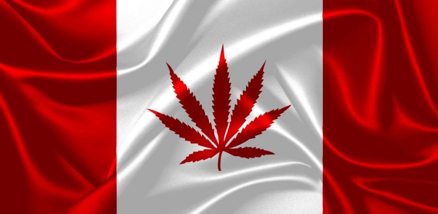 cannabis, Canada, USA, hemp, hemp plants, trade, legalization, agriculture, farmers, hemp products