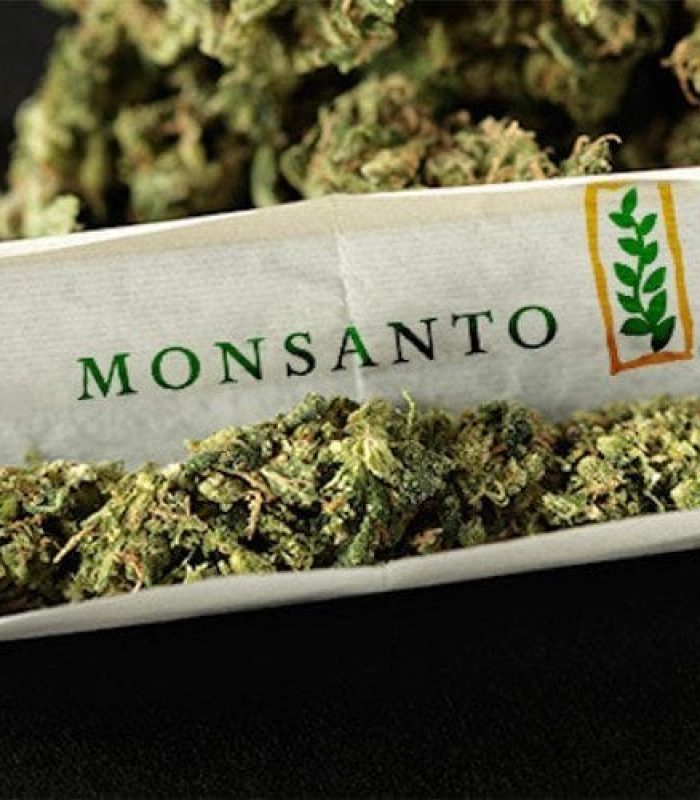 GMO Cannabis Is Already Here - Sort Of.