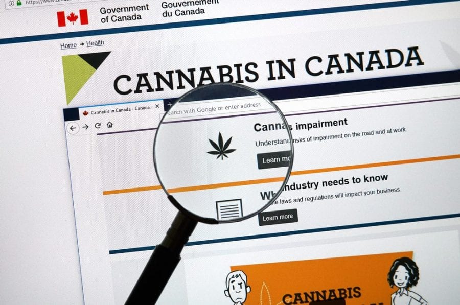 cannabis in canada page where you might ask how to "Clear My Record"