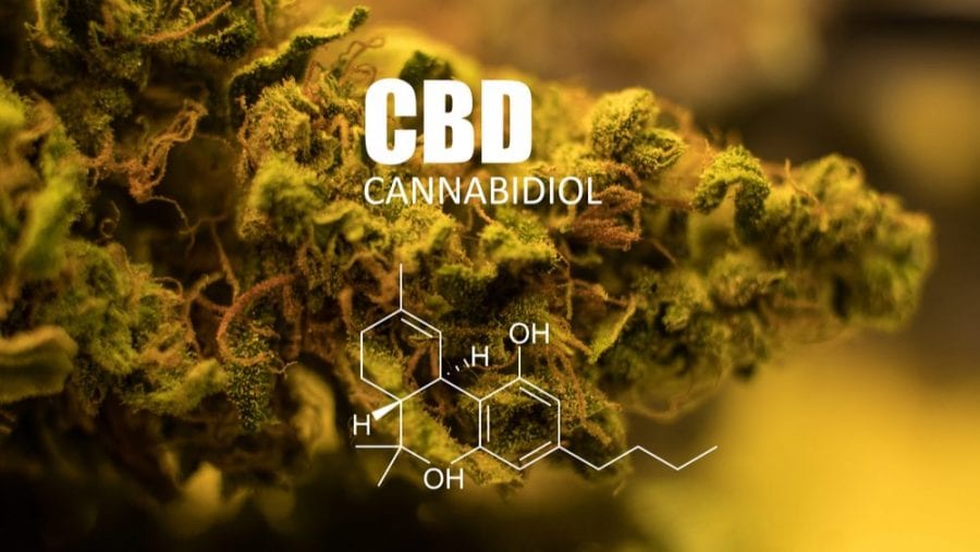 cannabis, cannabis research, prostate cancer, cancer research, USA, legalization, prohibition, cancer cells, cancer treatment, CBD, chemotherapy