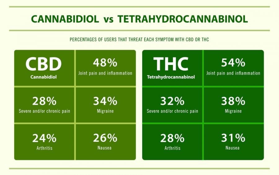 The Cannabis Golden Ratio: How Much CBD And THC For Your Health?