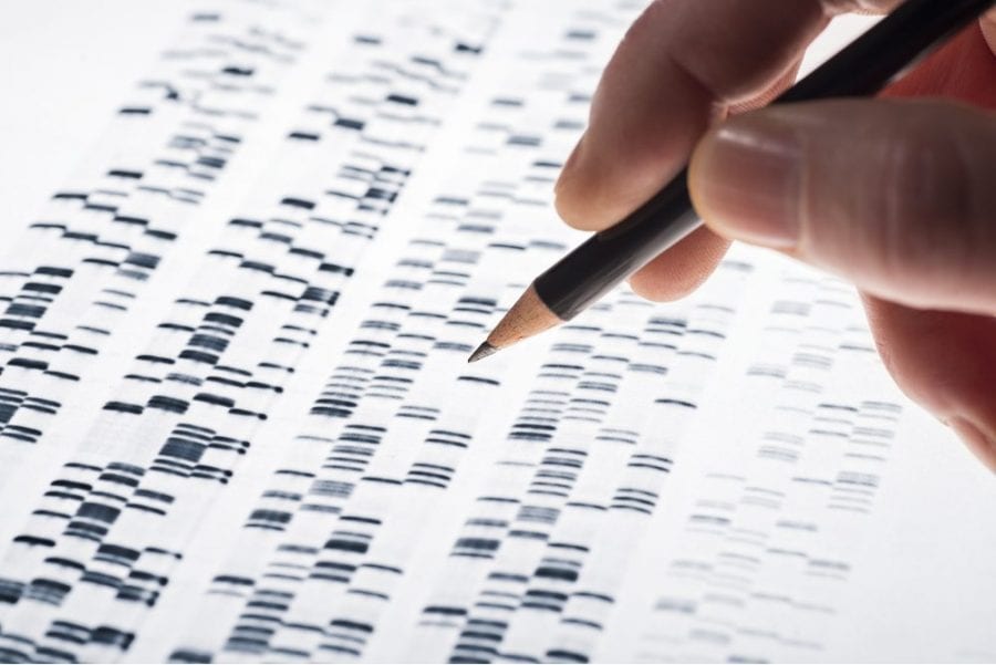 genetic code being mark by human hand