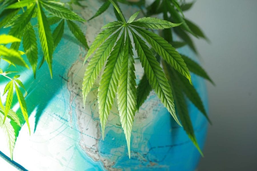cannabis, global cannabis, legalization, prohibition, USA, Canada, Mexico, Europe, research, recreational cannabis