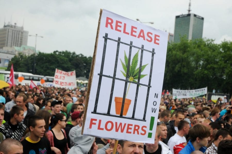 cannabis protest against prohibition propaganda: release the flower