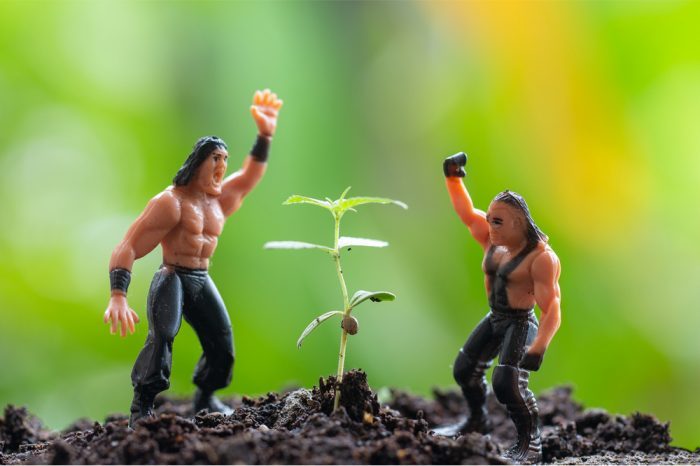 wrestler figures in a garden