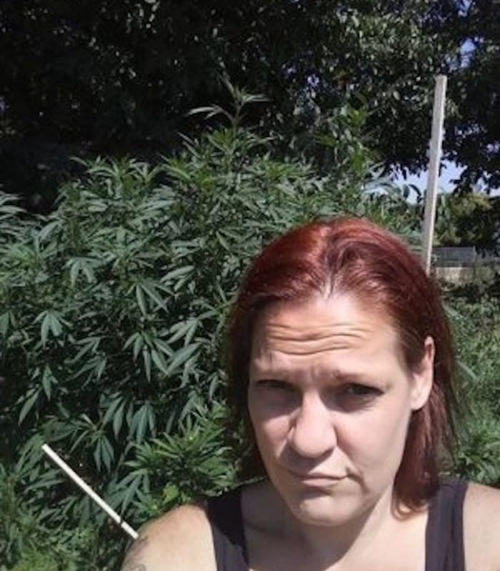 My Petit and Grand Mal Seizures Treated with Cannabis