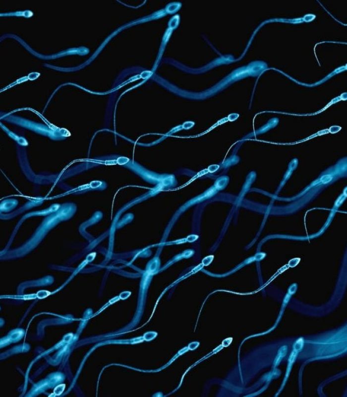 Study Finds Cannabis Consumers Have a Higher Sperm Count