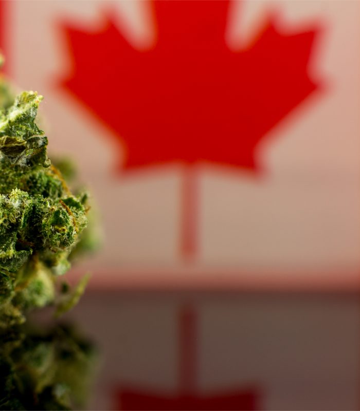 Canada Funds 14 New Studies To Support Cannabis Research