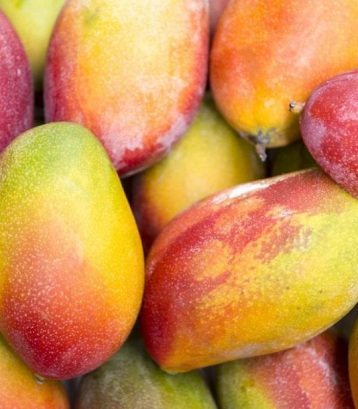 Do Mangos Really Increase Effects of THC?