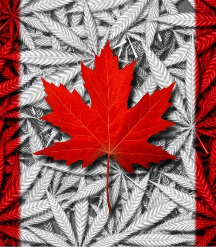 Edibles Will Soon Join The Chaos That Is Weed In Canada