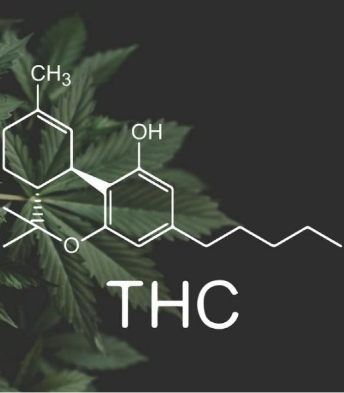 Where Is THC Legal? Legal Loophole Says All Through U.S.