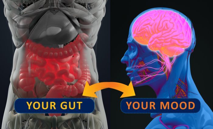 gut health, leaky gut, IBD, Crohn's disease, cannabinoids, endocannabinoid system, CB receptors, CB1, CB2