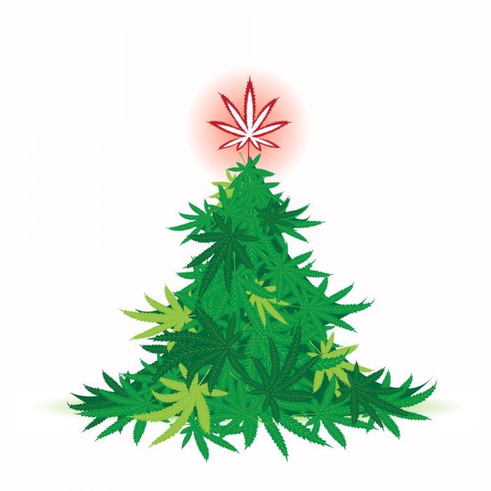 Christmas tree made of cannabis leaves