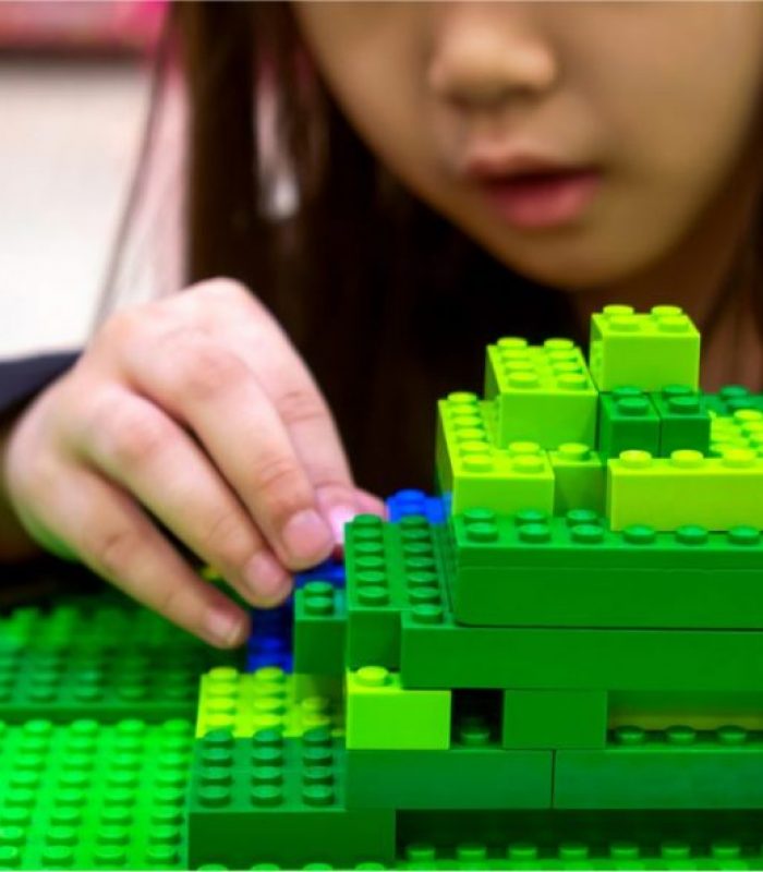 Hemp LEGO Bricks Part Of Hemp Plastic Revolution