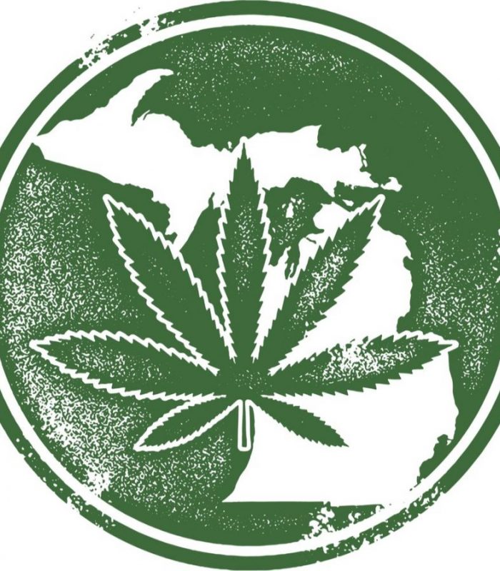 Michigan Cannabis Law: What You Need To Know