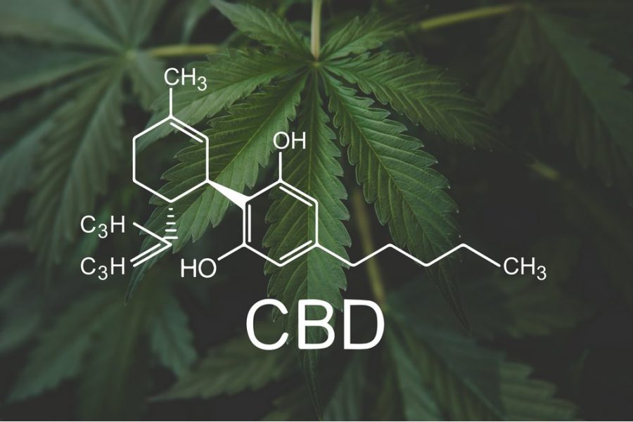 CBD, CBD rich strain, cannabinoids, THC, medical cannabis, legalization, recreational cannabis, vaporizers, smoking, edibles