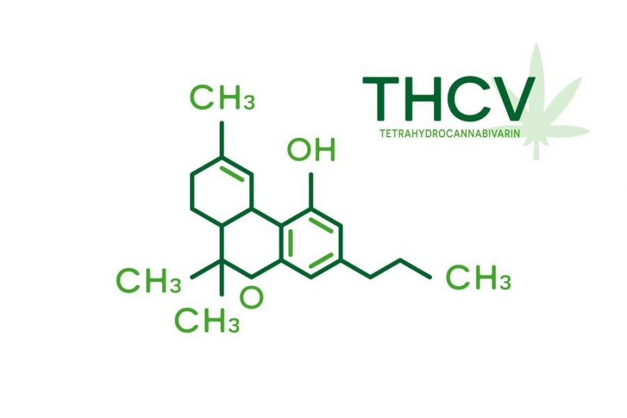 How Cannabinoid Pathways Work In Your Brain