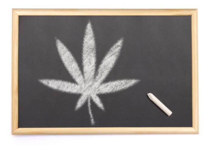 cannabis leaf drawn on chalkboard