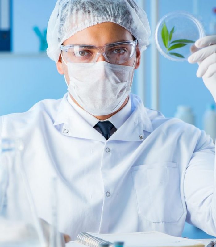 NIDA Announces It Will Fund Cannabis Studies: Good Or Bad?