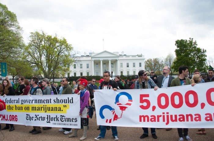 cannabis protest
