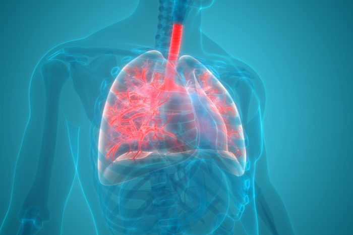 the respiratory system, which vape oil can damage