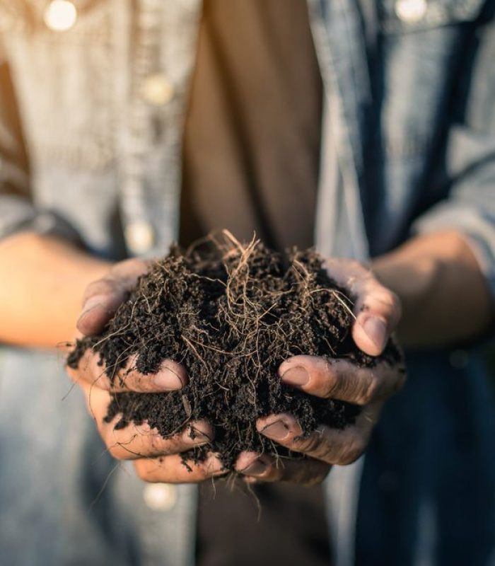 How To Cultivate Living Soil For Quality Grows