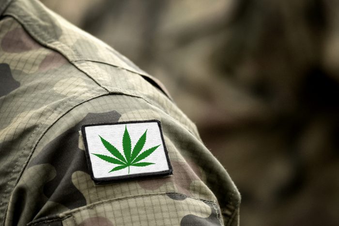 Veterans and Cannabis Don't Mix And Republicans Make Sure They Never Will