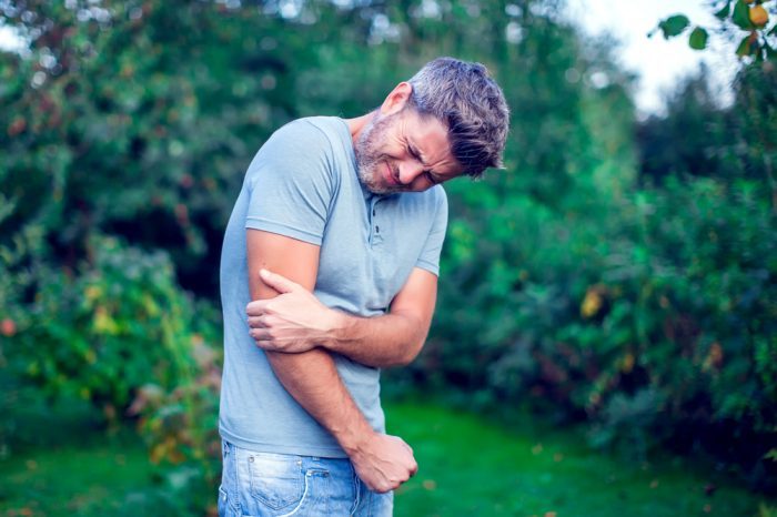 Study Says CBD May Ease Bone Pain and Speed Healing