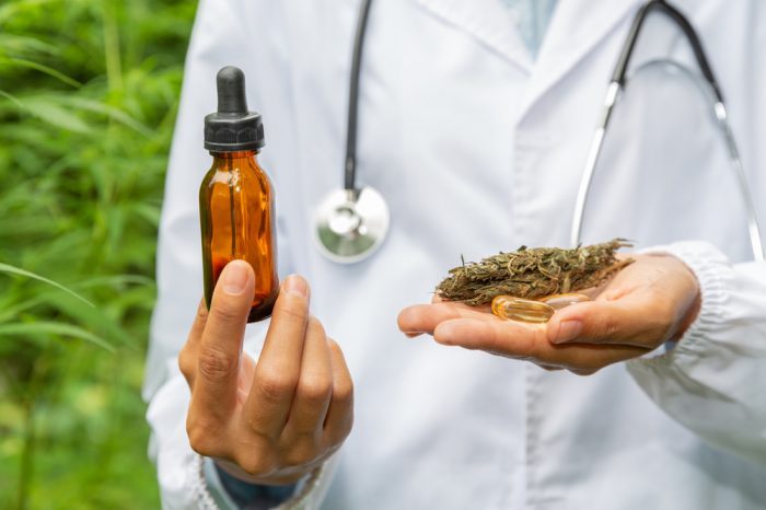 Finding a Cannabis Friendly Doctor For Cancer Is Easier Than Ever