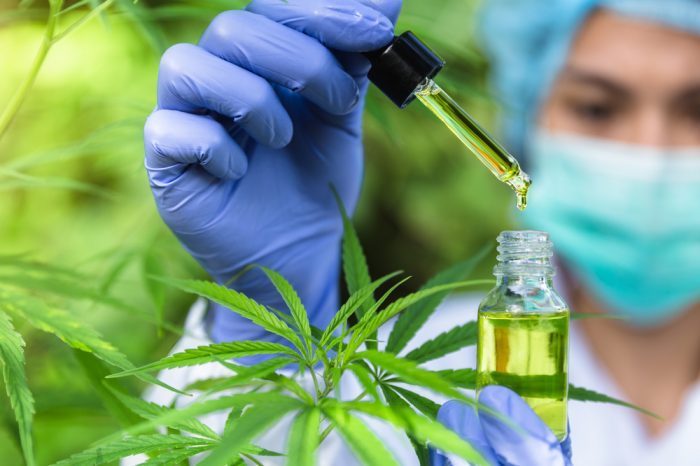 Is the Legal Limit of THC Putting People at Risk?