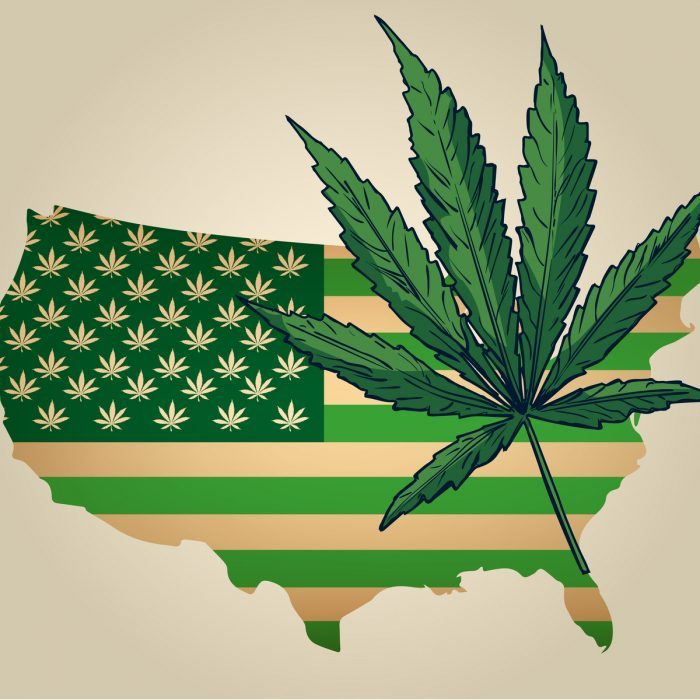 Is CBD Legal in my State? Only in Forty-Seven