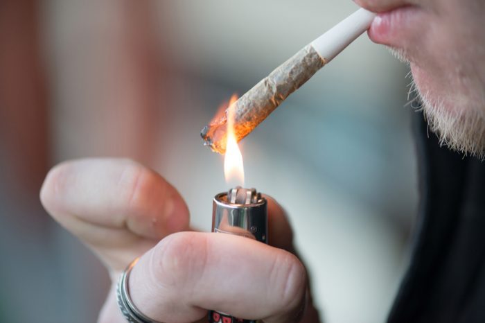 Cannabis is Not a Suitable Human Coronavirus Treatment