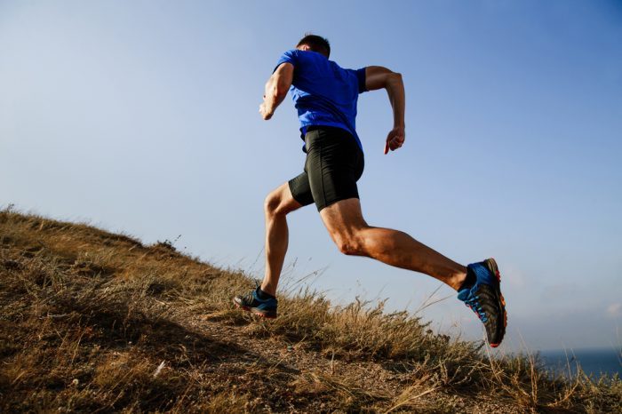 Body Fat and THC Release in Athletes During Exercise