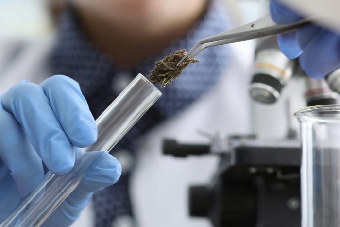 Test Cannabis With High Performance Liquid Chromatography (HPLC)