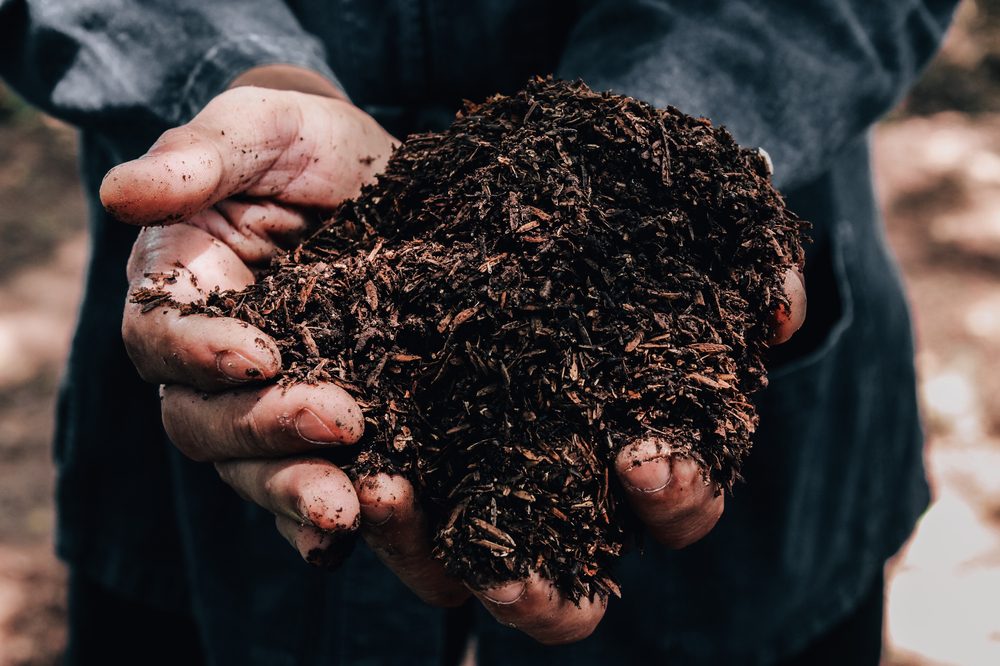 best types of soil for cannabis represented by handful of soil