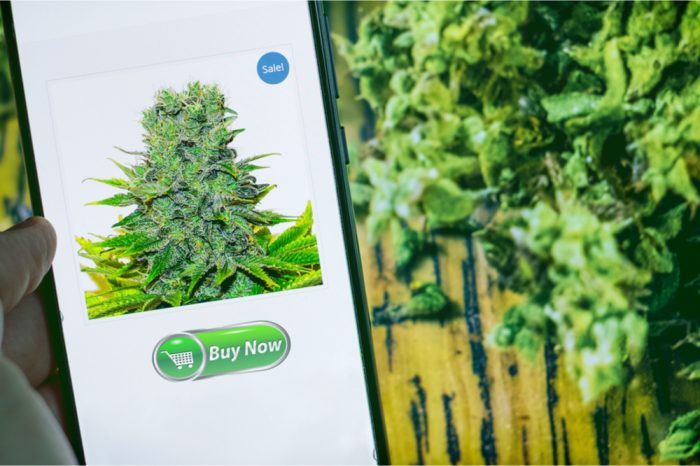 How To Avoid Getting Scammed When You Buy Cannabis Online